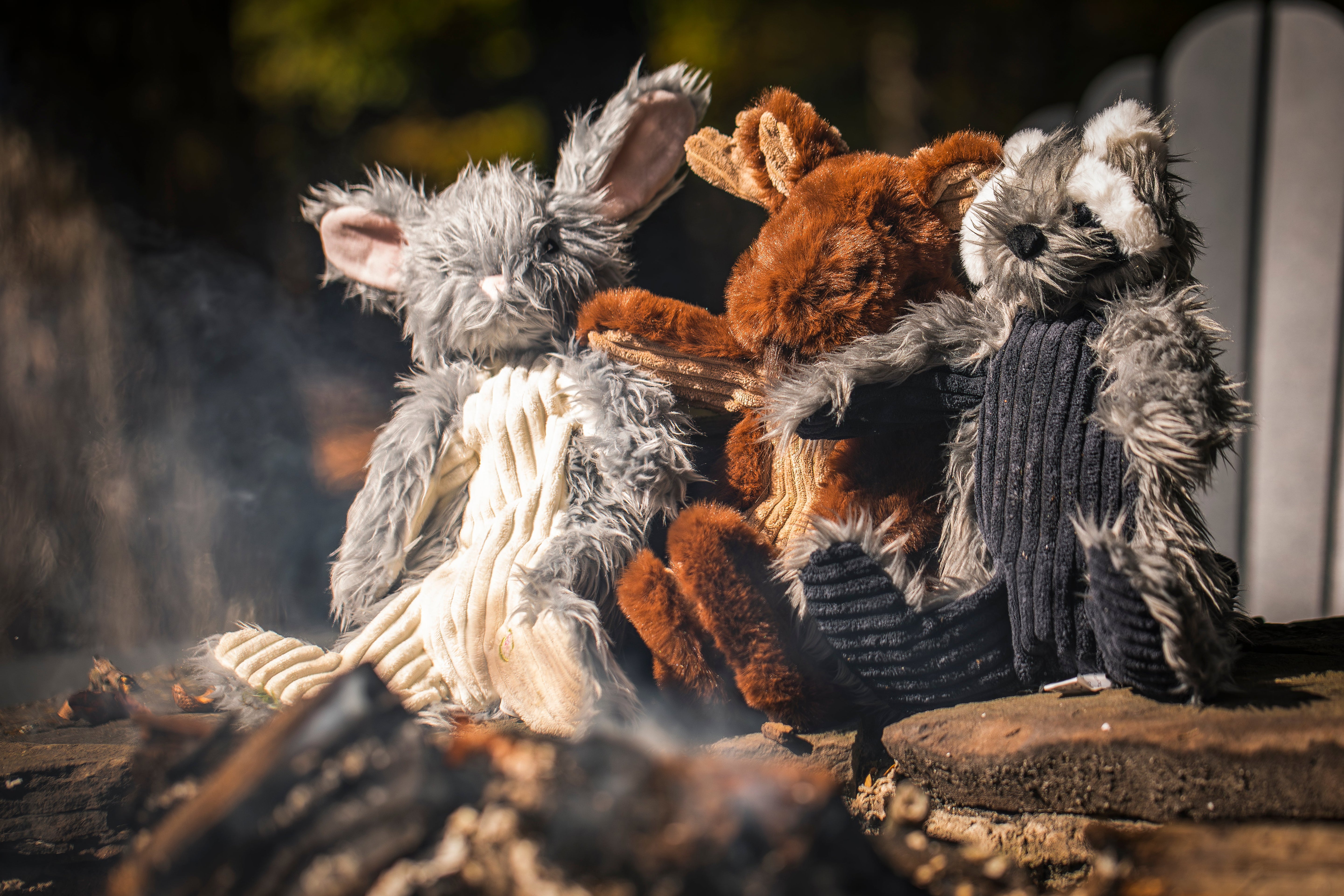 Maple Moose X-Brace Dog Toy