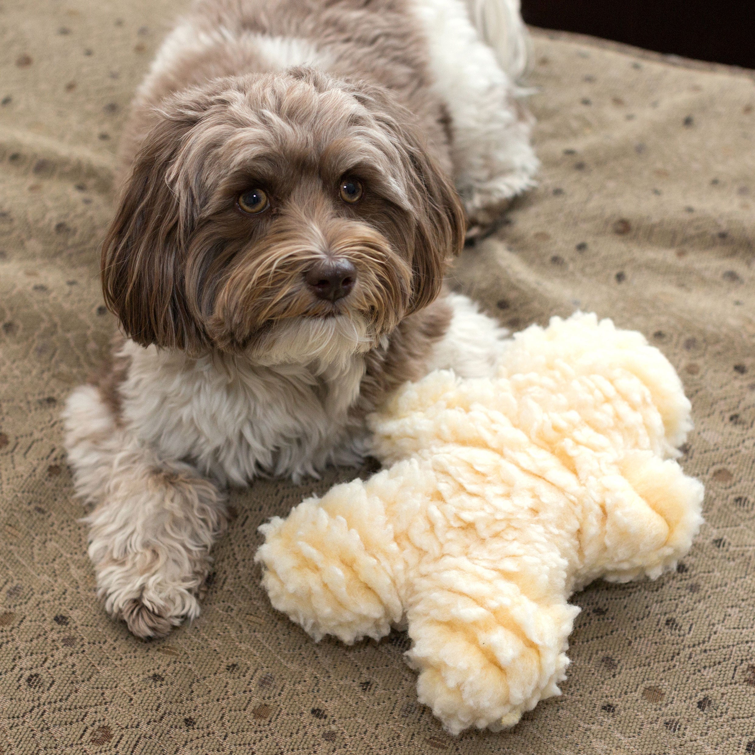 HuggleFleece Man Plush Dog Toy