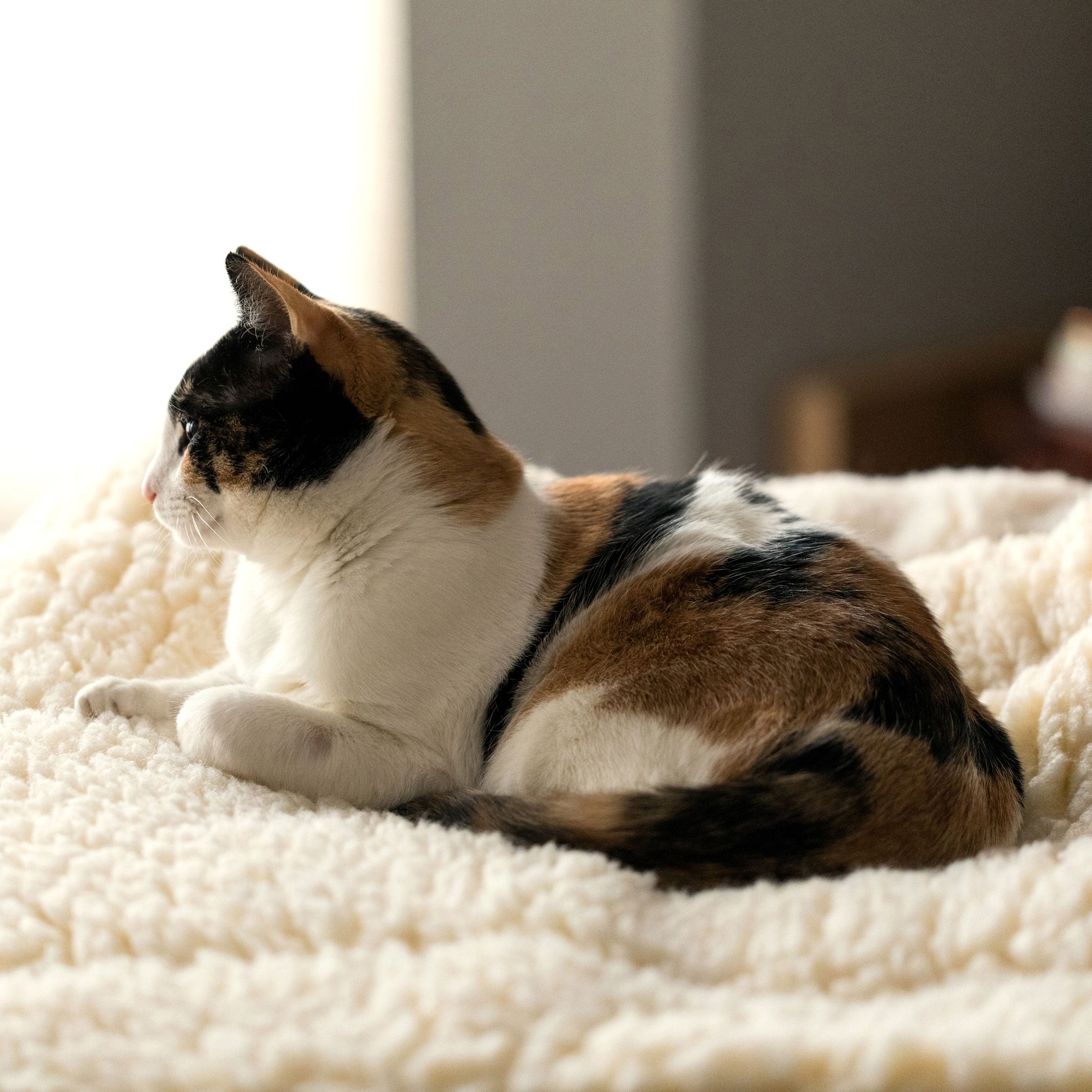 HuggleFleece Mat Dog & Cat Bed