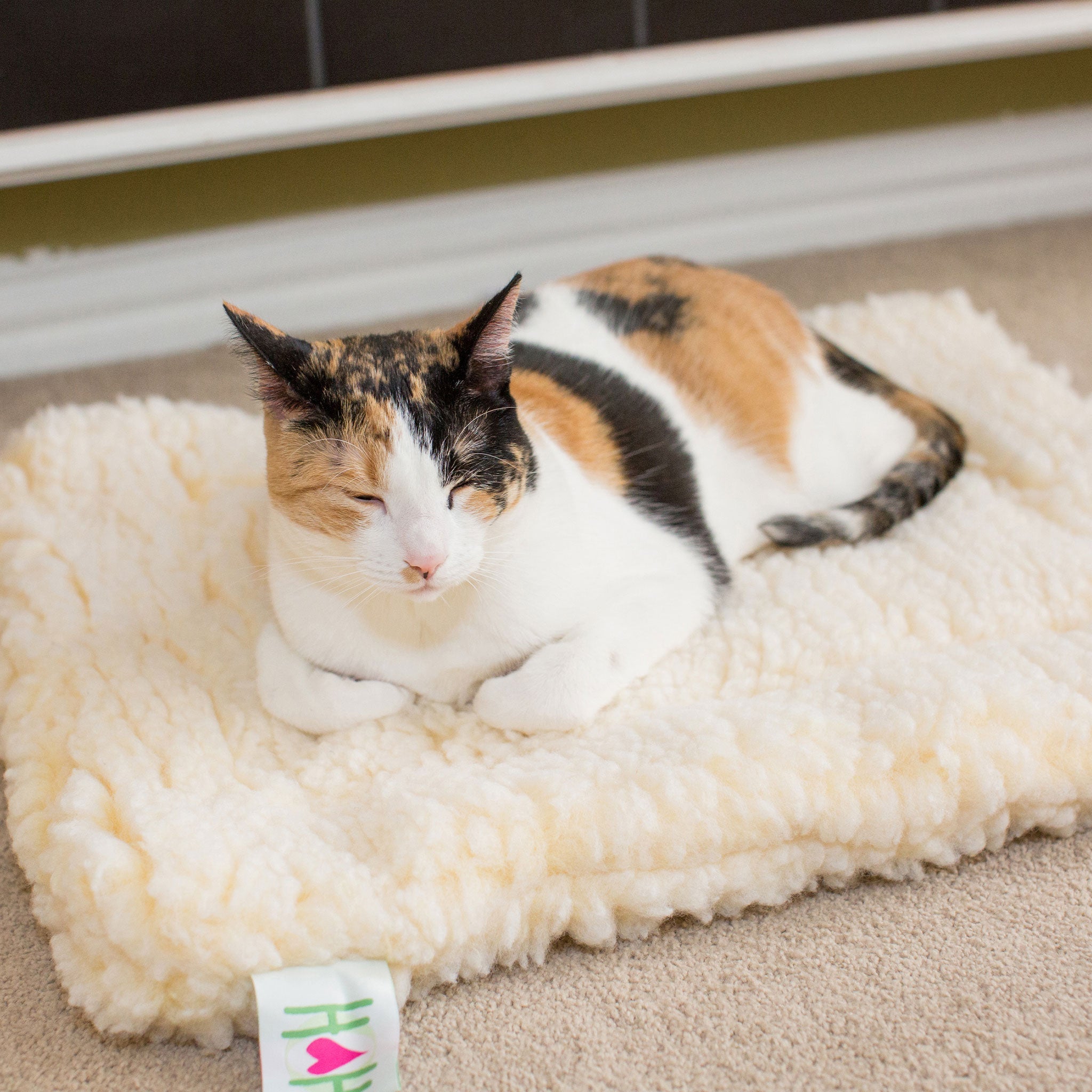 HuggleFleece Mat Dog & Cat Bed