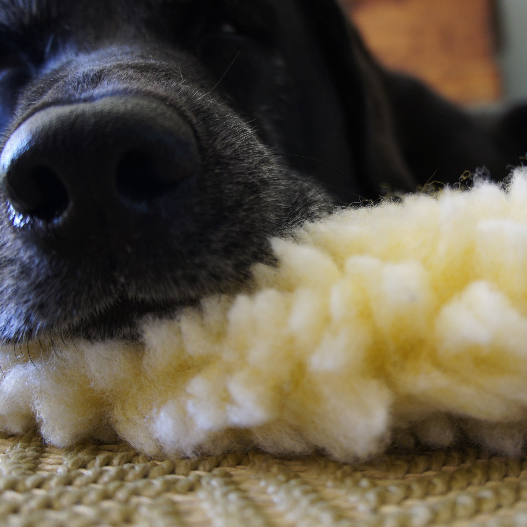 HuggleFleece Mat Dog & Cat Bed