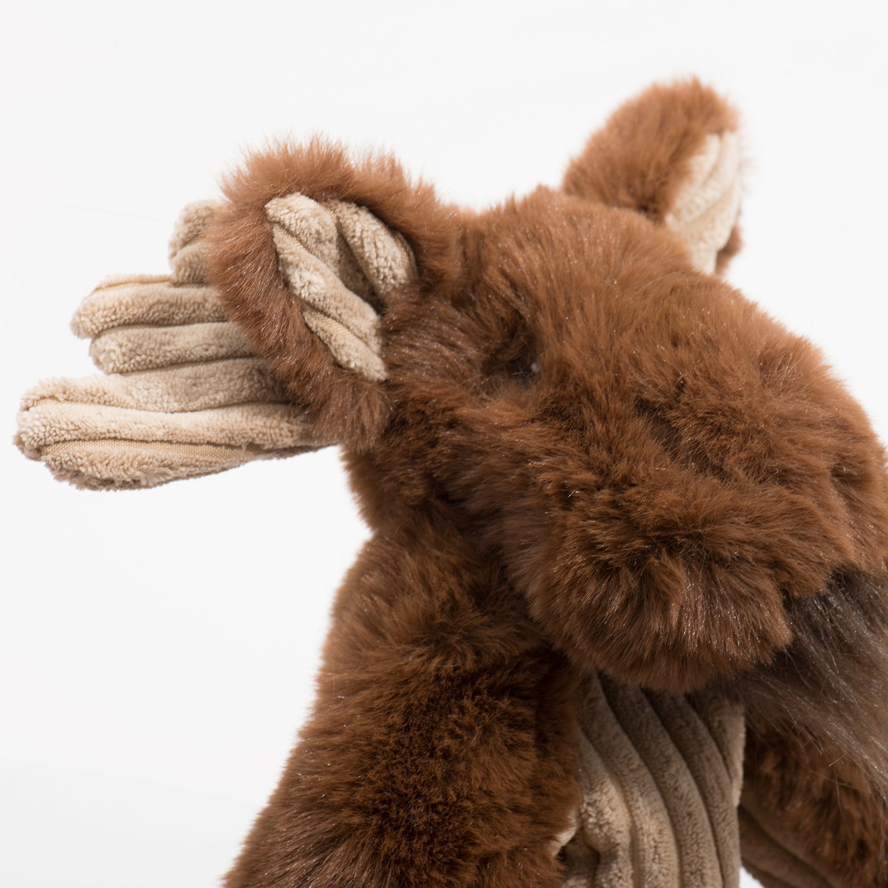 Maple Moose X-Brace Dog Toy